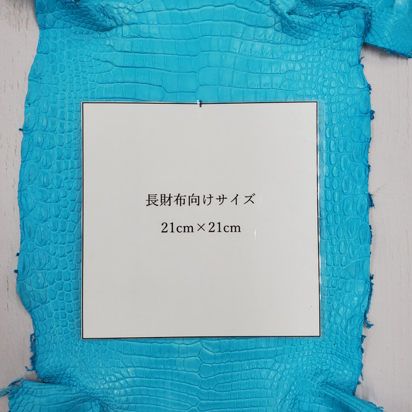 ワニ革 クロコ 半艶マット  セルリアンブルー　No.C008555 8枚目の画像