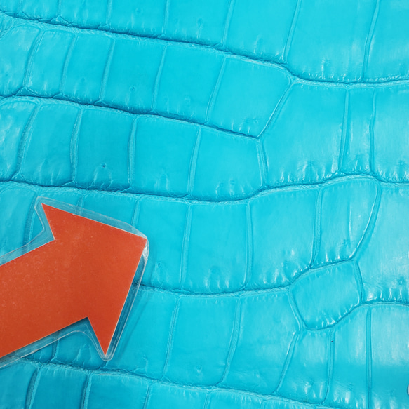 ワニ革 クロコ 半艶マット  セルリアンブルー　No.C008555 12枚目の画像