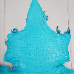 ワニ革 クロコ 半艶マット  セルリアンブルー　No.C008555 3枚目の画像