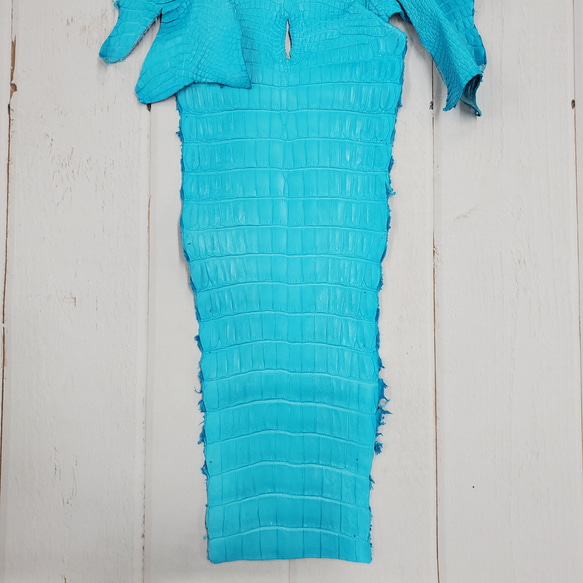 ワニ革 クロコ 半艶マット  セルリアンブルー　No.C008555 5枚目の画像