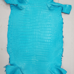 ワニ革 クロコ 半艶マット  セルリアンブルー　No.C008555 4枚目の画像