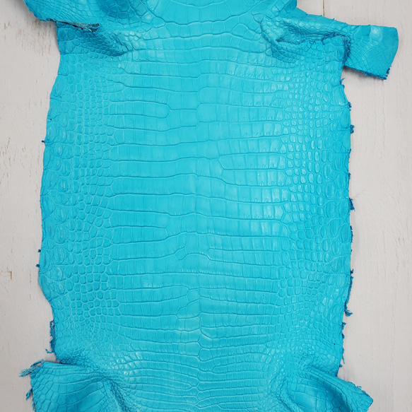 ワニ革 クロコ 半艶マット  セルリアンブルー　No.C008555 4枚目の画像