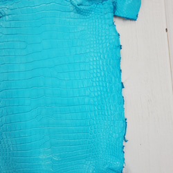 ワニ革 クロコ 半艶マット  セルリアンブルー　No.C008555 16枚目の画像