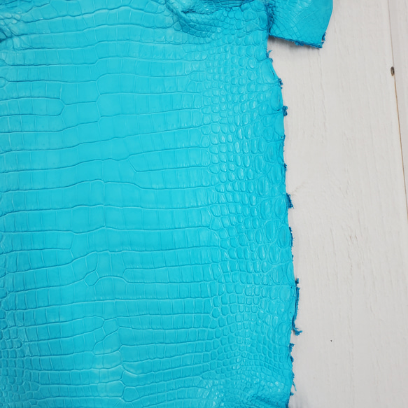 ワニ革 クロコ 半艶マット  セルリアンブルー　No.C008555 16枚目の画像