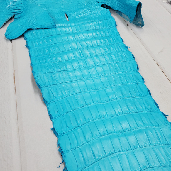 ワニ革 クロコ 半艶マット  セルリアンブルー　No.C008555 18枚目の画像