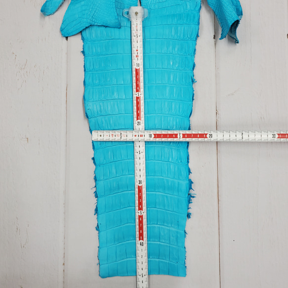 ワニ革 クロコ 半艶マット  セルリアンブルー　No.C008555 7枚目の画像