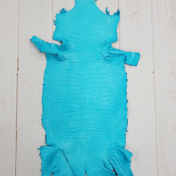 ワニ革 クロコ 半艶マット  セルリアンブルー　No.C008555 1枚目の画像