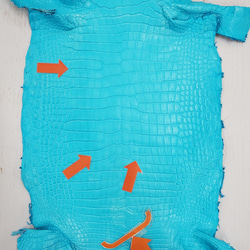 ワニ革 クロコ 半艶マット  セルリアンブルー　No.C008555 10枚目の画像