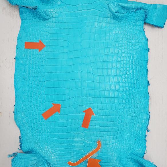 ワニ革 クロコ 半艶マット  セルリアンブルー　No.C008555 10枚目の画像