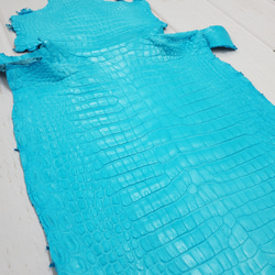 ワニ革 クロコ 半艶マット  セルリアンブルー　No.C008555 17枚目の画像