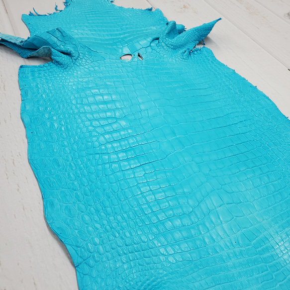 ワニ革 クロコ 半艶マット  セルリアンブルー　No.C008556 17枚目の画像