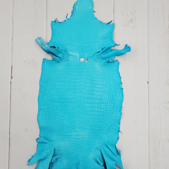 ワニ革 クロコ 半艶マット  セルリアンブルー　No.C008556 1枚目の画像