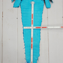 ワニ革 クロコ 半艶マット  セルリアンブルー　No.C008556 7枚目の画像