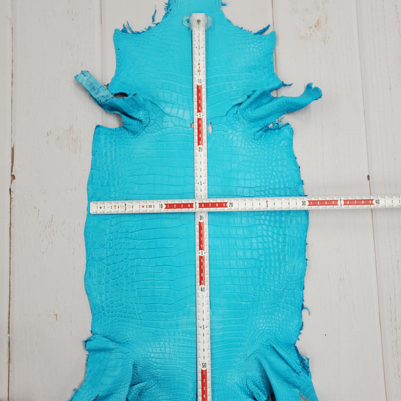 ワニ革 クロコ 半艶マット  セルリアンブルー　No.C008556 6枚目の画像