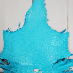 ワニ革 クロコ 半艶マット  セルリアンブルー　No.C008556 3枚目の画像