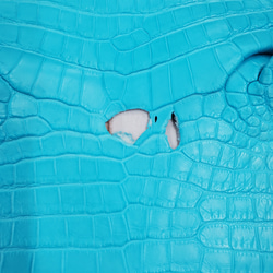 ワニ革 クロコ 半艶マット  セルリアンブルー　No.C008556 11枚目の画像