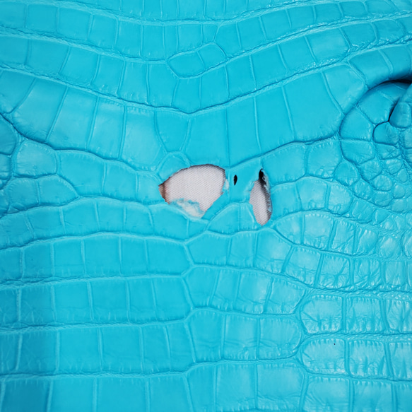 ワニ革 クロコ 半艶マット  セルリアンブルー　No.C008556 11枚目の画像