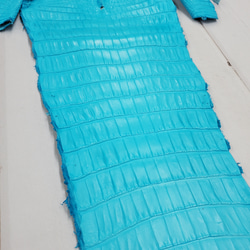 ワニ革 クロコ 半艶マット  セルリアンブルー　No.C008556 20枚目の画像