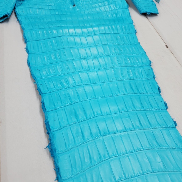 ワニ革 クロコ 半艶マット  セルリアンブルー　No.C008556 20枚目の画像