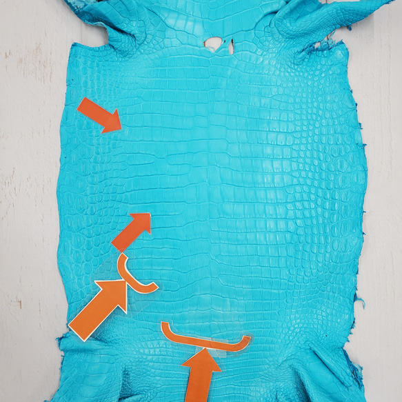 ワニ革 クロコ 半艶マット  セルリアンブルー　No.C008556 10枚目の画像