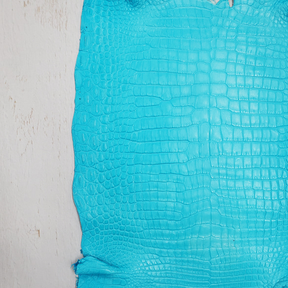 ワニ革 クロコ 半艶マット  セルリアンブルー　No.C008556 18枚目の画像