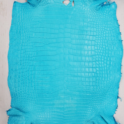 ワニ革 クロコ 半艶マット  セルリアンブルー　No.C008556 4枚目の画像