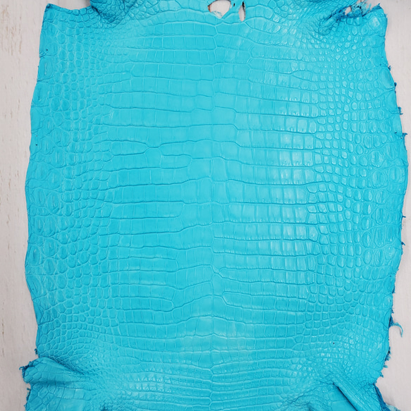 ワニ革 クロコ 半艶マット  セルリアンブルー　No.C008556 4枚目の画像
