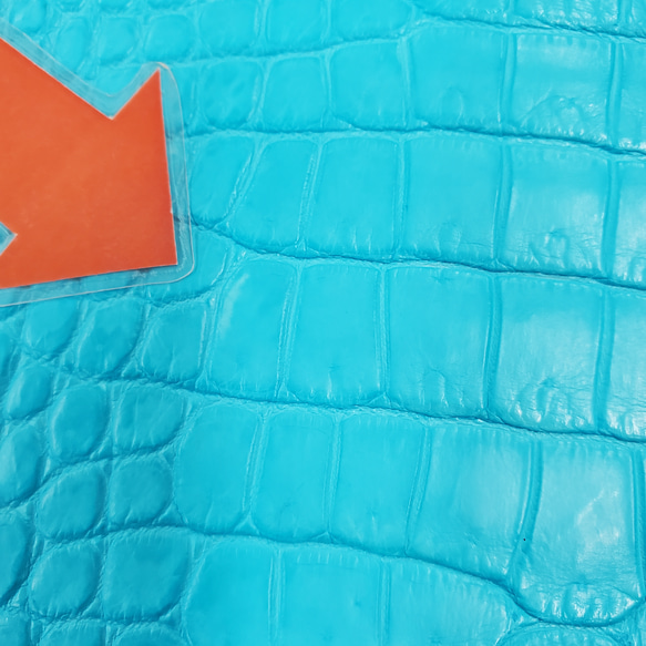 ワニ革 クロコ 半艶マット  セルリアンブルー　No.C008556 12枚目の画像