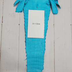 ワニ革 クロコ 半艶マット  セルリアンブルー　No.C008556 9枚目の画像