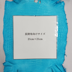 ワニ革 クロコ 半艶マット  セルリアンブルー　No.C008556 8枚目の画像