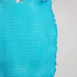 ワニ革 クロコ 半艶マット  セルリアンブルー　No.C008556 19枚目の画像