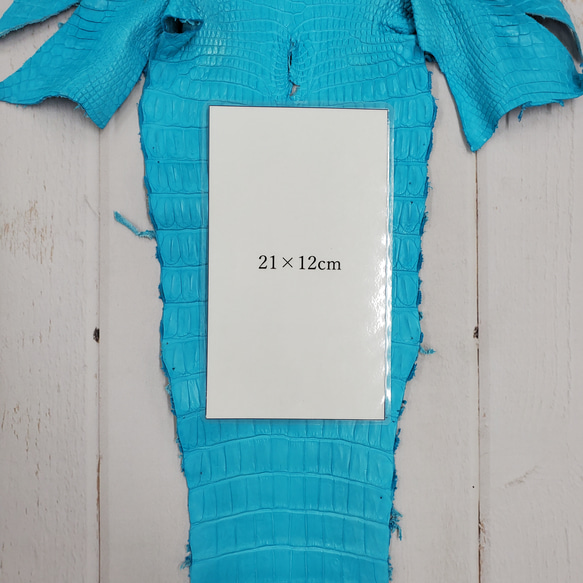 ワニ革 クロコ 半艶マット  セルリアンブルー　No.C008557 9枚目の画像