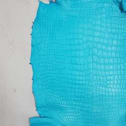 ワニ革 クロコ 半艶マット  セルリアンブルー　No.C008557 17枚目の画像