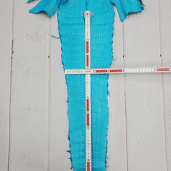 ワニ革 クロコ 半艶マット  セルリアンブルー　No.C008557 7枚目の画像