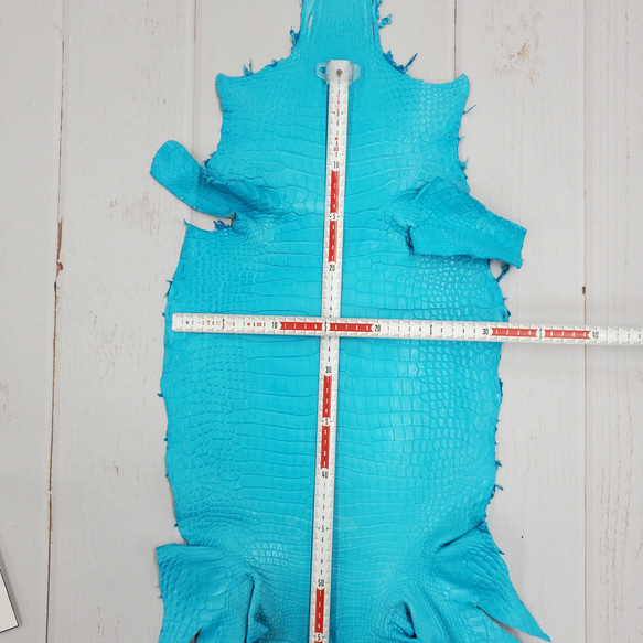 ワニ革 クロコ 半艶マット  セルリアンブルー　No.C008557 6枚目の画像