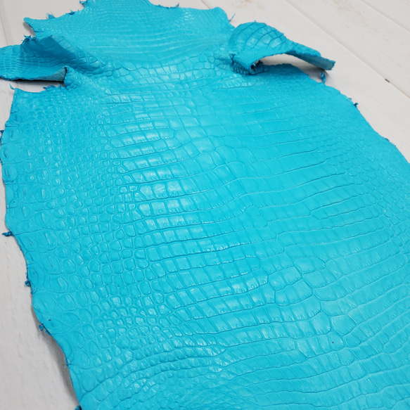 ワニ革 クロコ 半艶マット  セルリアンブルー　No.C008557 19枚目の画像