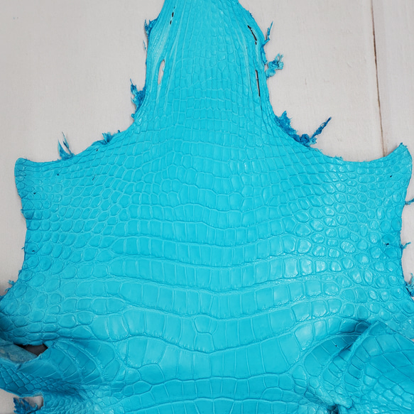 ワニ革 クロコ 半艶マット  セルリアンブルー　No.C008557 3枚目の画像
