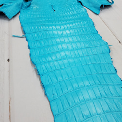 ワニ革 クロコ 半艶マット  セルリアンブルー　No.C008557 20枚目の画像