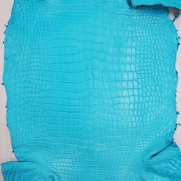 ワニ革 クロコ 半艶マット  セルリアンブルー　No.C008557 4枚目の画像