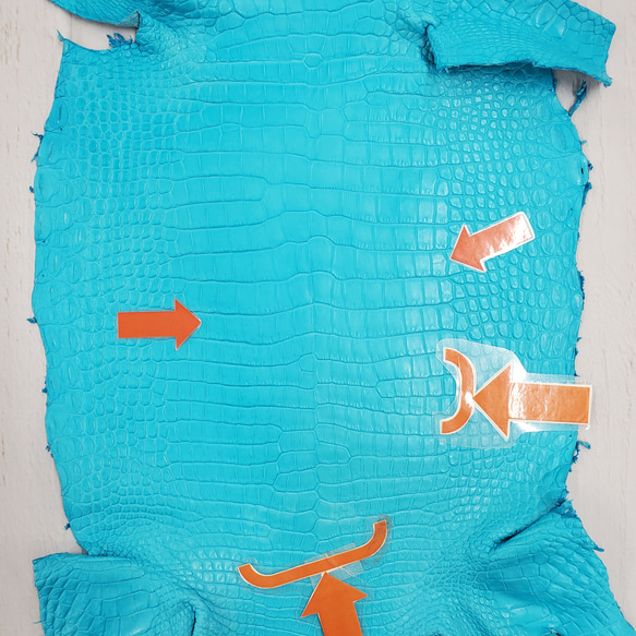 ワニ革 クロコ 半艶マット  セルリアンブルー　No.C008557 10枚目の画像
