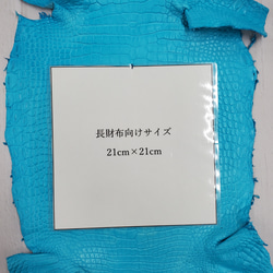ワニ革 クロコ 半艶マット  セルリアンブルー　No.C008557 8枚目の画像