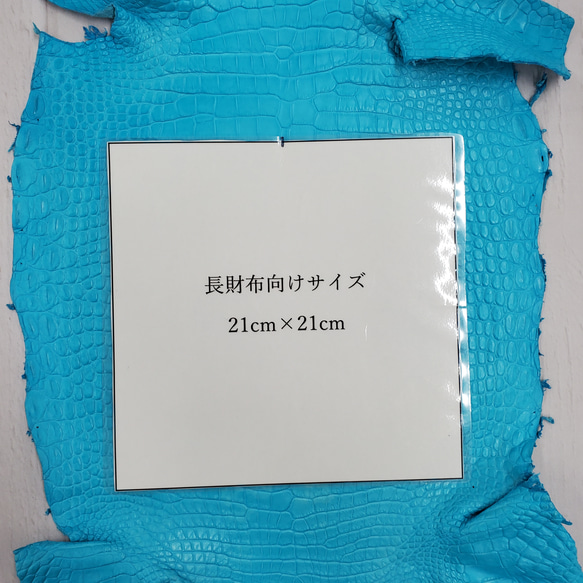 ワニ革 クロコ 半艶マット  セルリアンブルー　No.C008557 8枚目の画像