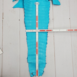 ワニ革 クロコ 半艶マット  セルリアンブルー　No.C008558 7枚目の画像