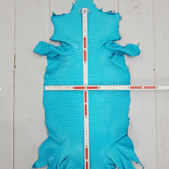 ワニ革 クロコ 半艶マット  セルリアンブルー　No.C008558 6枚目の画像