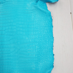 ワニ革 クロコ 半艶マット  セルリアンブルー　No.C008558 18枚目の画像