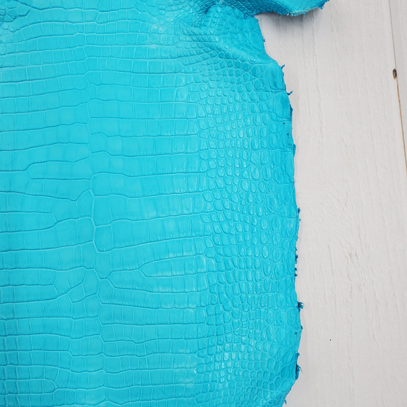 ワニ革 クロコ 半艶マット  セルリアンブルー　No.C008558 18枚目の画像