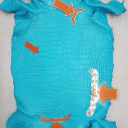 ワニ革 クロコ 半艶マット  セルリアンブルー　No.C008558 10枚目の画像