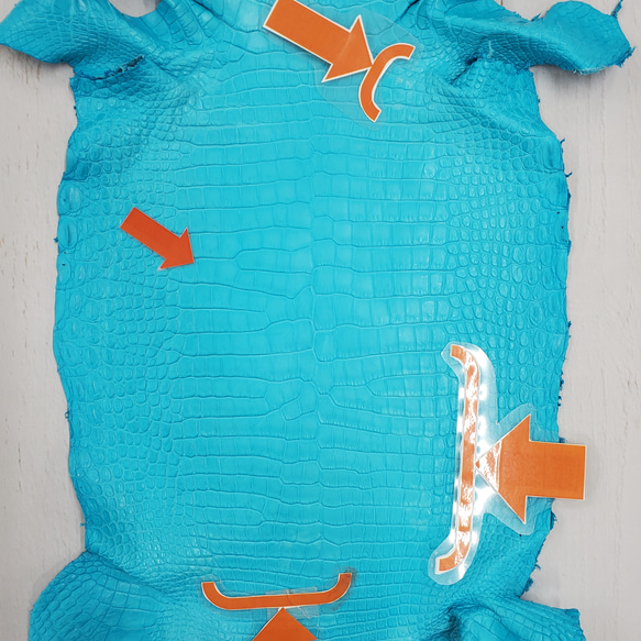ワニ革 クロコ 半艶マット  セルリアンブルー　No.C008558 10枚目の画像