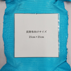 ワニ革 クロコ 半艶マット  セルリアンブルー　No.C008558 8枚目の画像