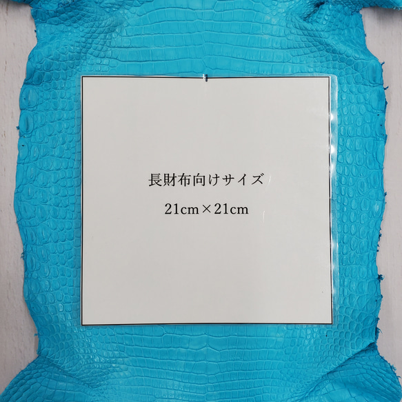 ワニ革 クロコ 半艶マット  セルリアンブルー　No.C008558 8枚目の画像